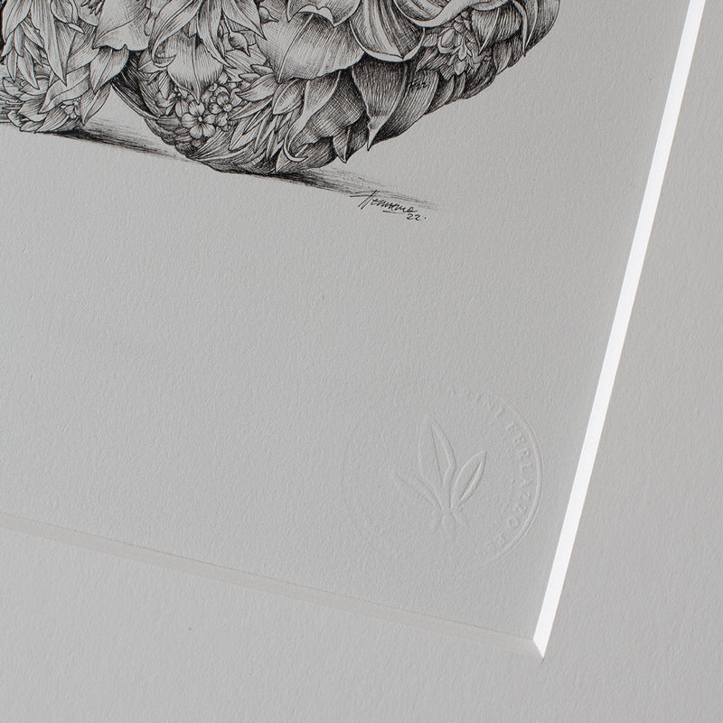 Koala Bushwalk – ORIGINAL