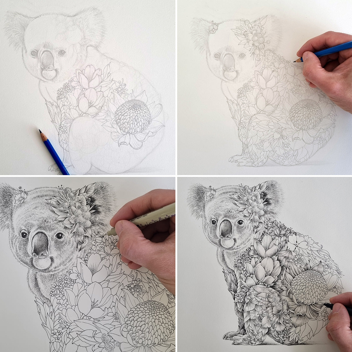 Koala Bushwalk – ORIGINAL