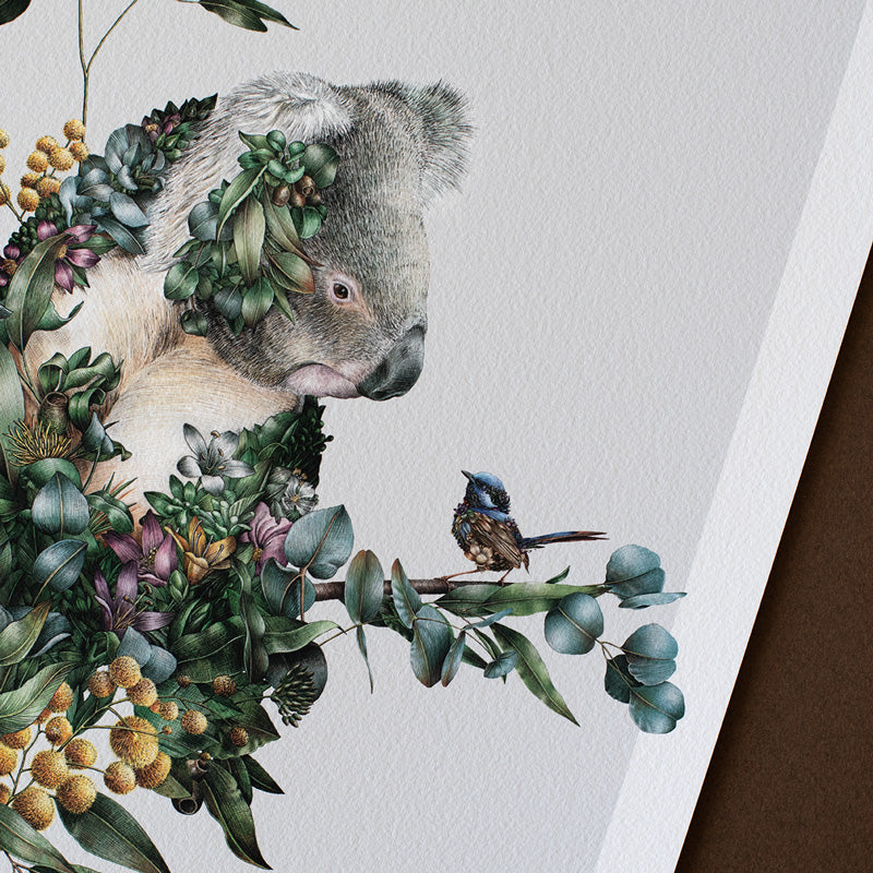 Koala & Wren Friendship – Limited Edition Print