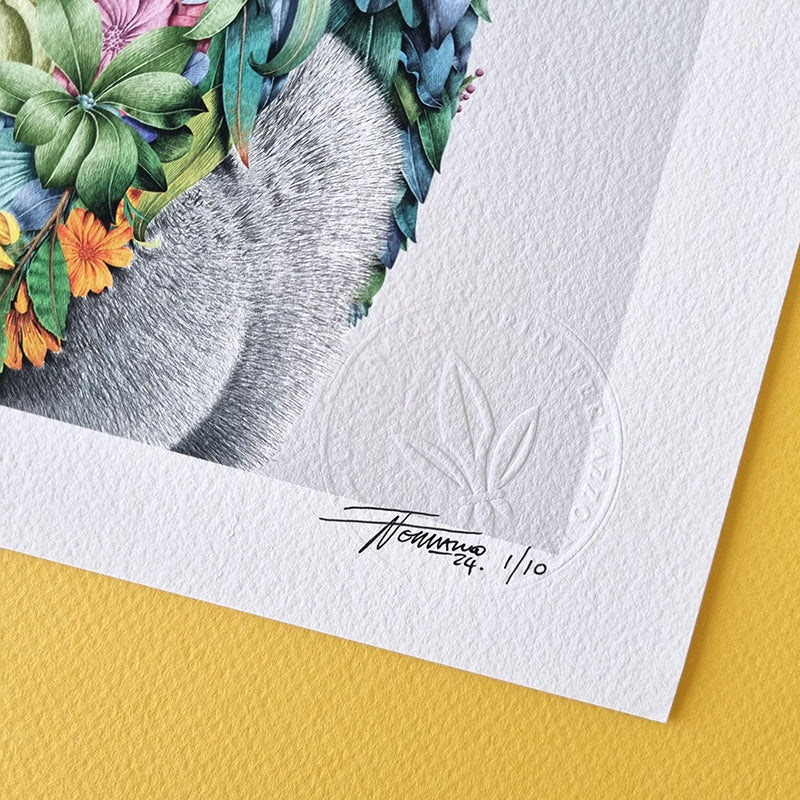 Koala Portrait – Limited Edition Print