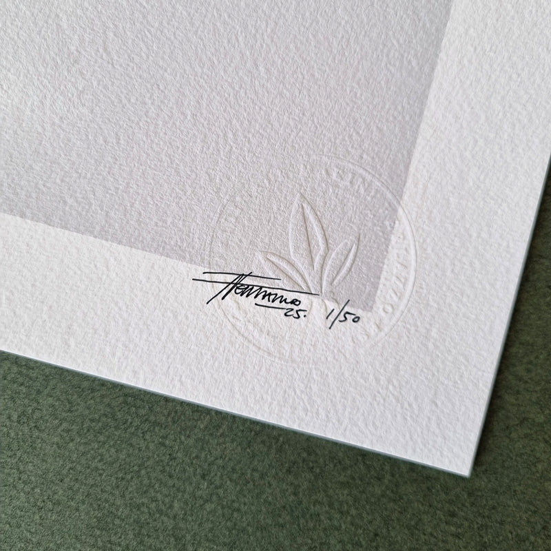 Koala & Wren Friendship – Limited Edition Print