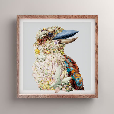 Kookaburra Portrait – Limited Edition Print