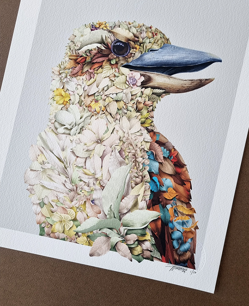 Kookaburra Portrait – Limited Edition Print