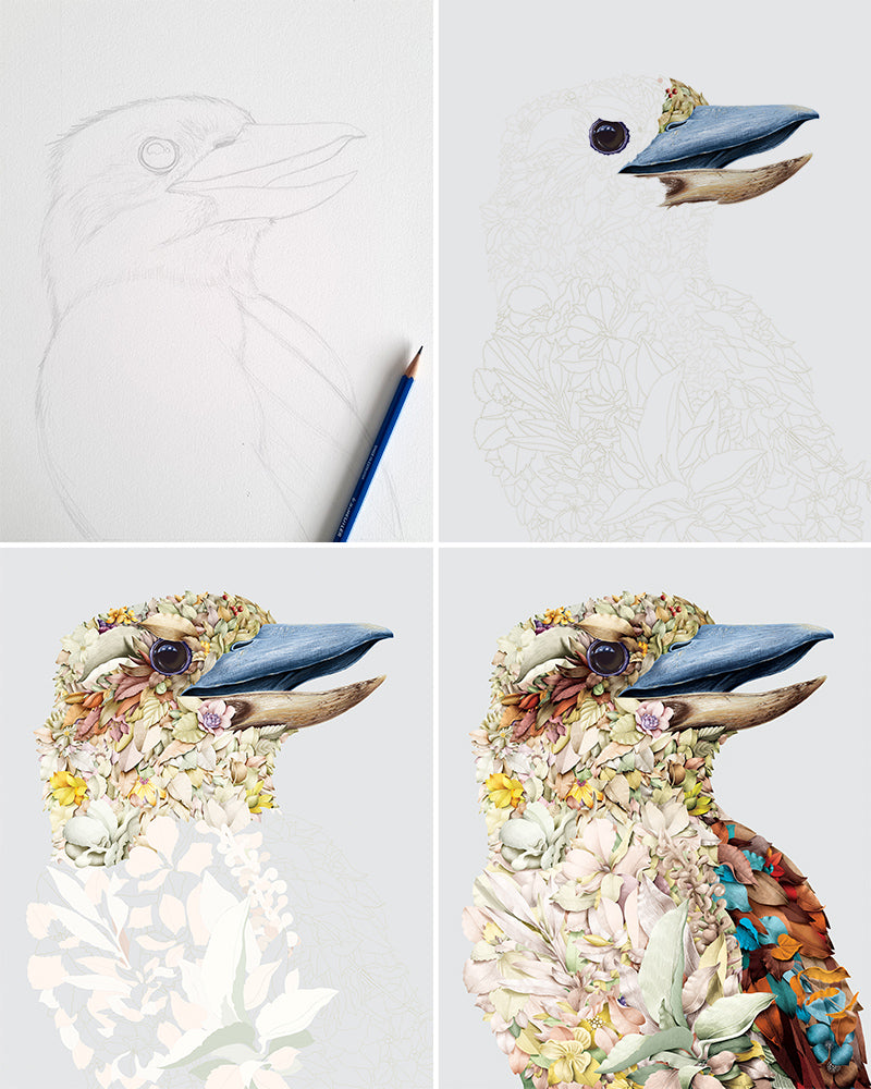 Magnet – Kookaburra Portrait