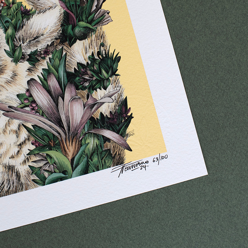 Ring-tailed Lemur – Giclée Print