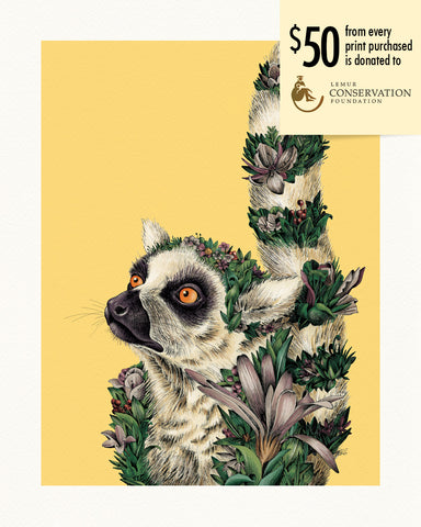 Ring-tailed Lemur – Giclée Print