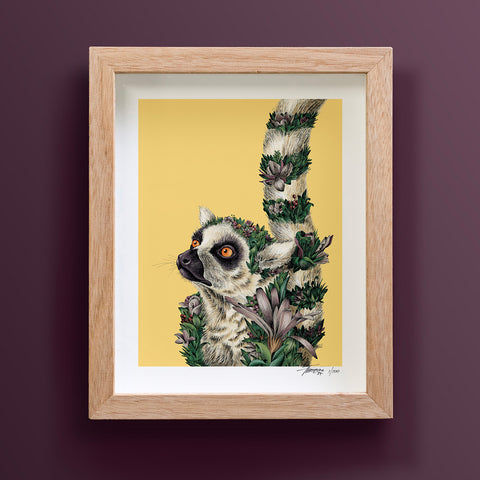 Ring-tailed Lemur – Giclée Print