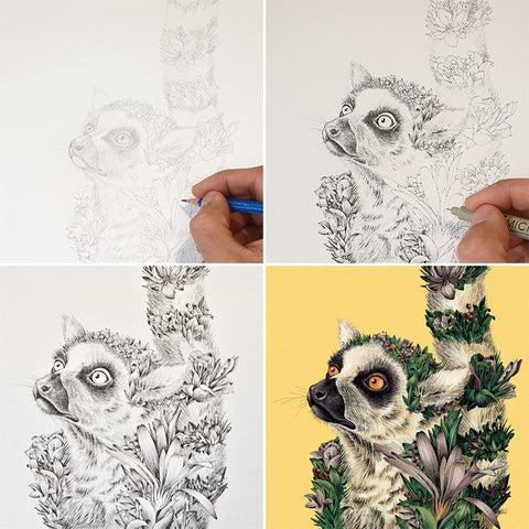 Ring-tailed Lemur – Giclée Print