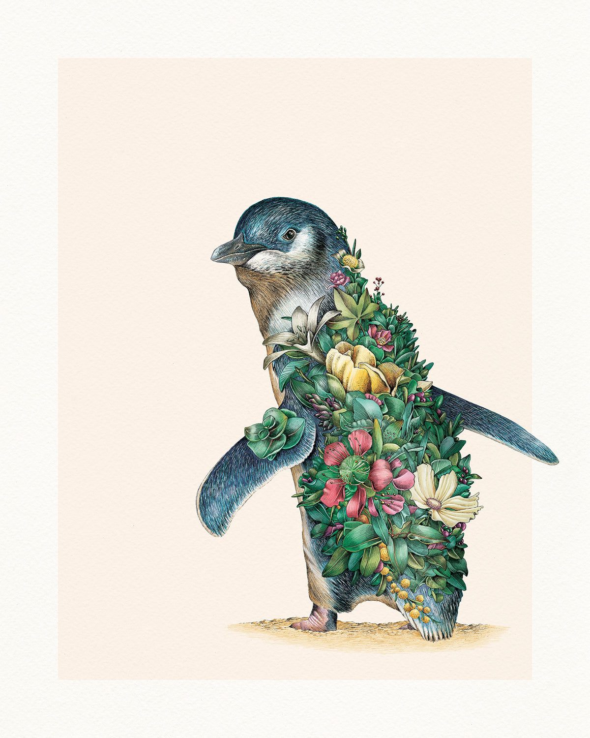 Little Penguin – Limited Edition Print