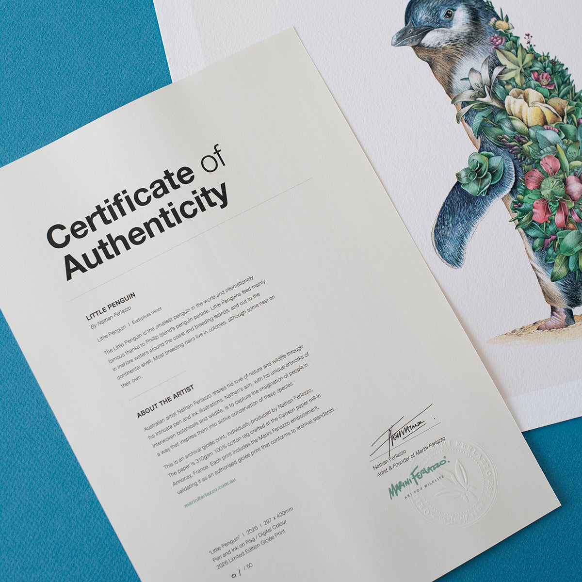Little Penguin – Limited Edition Print