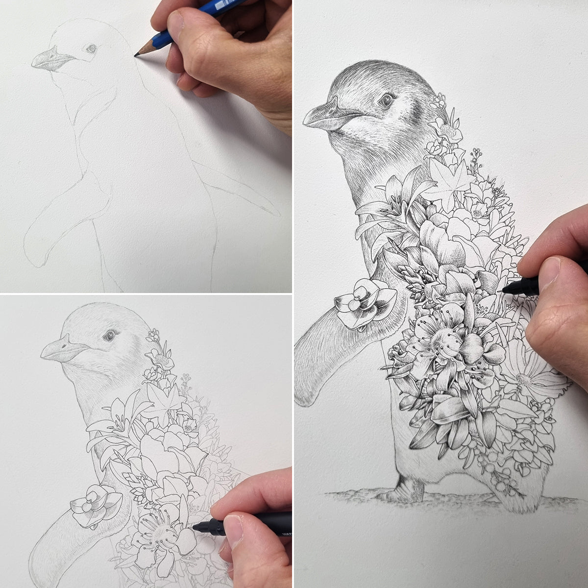 Little Penguin – Limited Edition Print