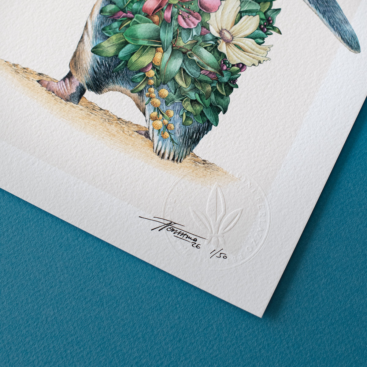 Little Penguin – Limited Edition Print