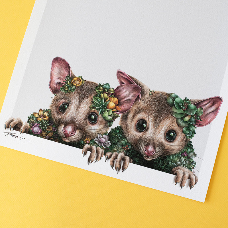 Little Possums – Limited Edition Print