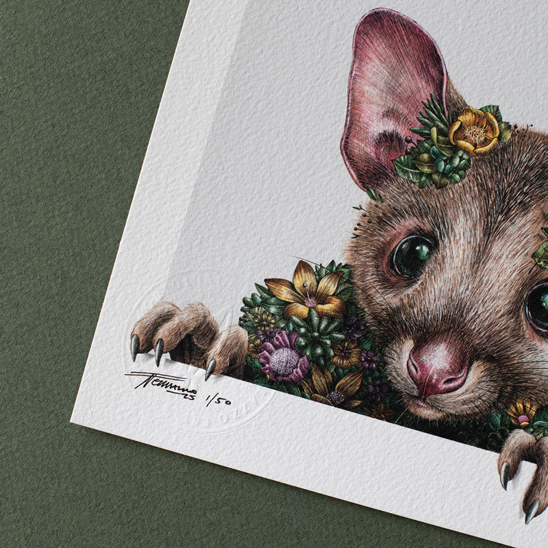 Little Possums – Limited Edition Print