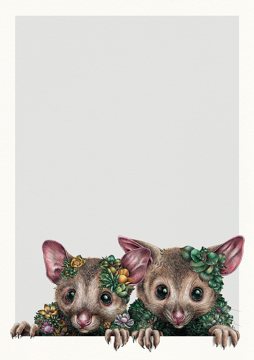 Little Possums – Limited Edition Print