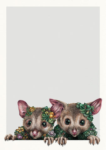 Little Possums – Limited Edition Print