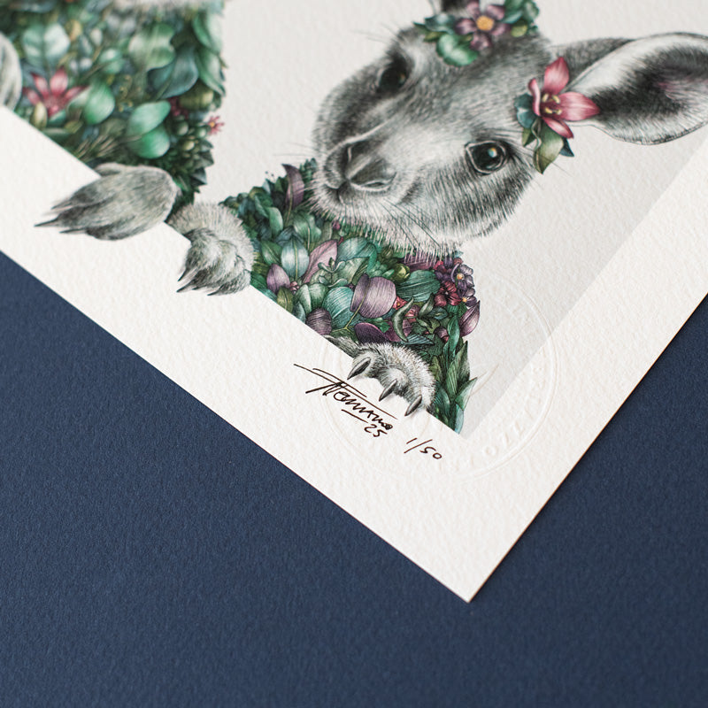 Little Roos – Limited Edition Print