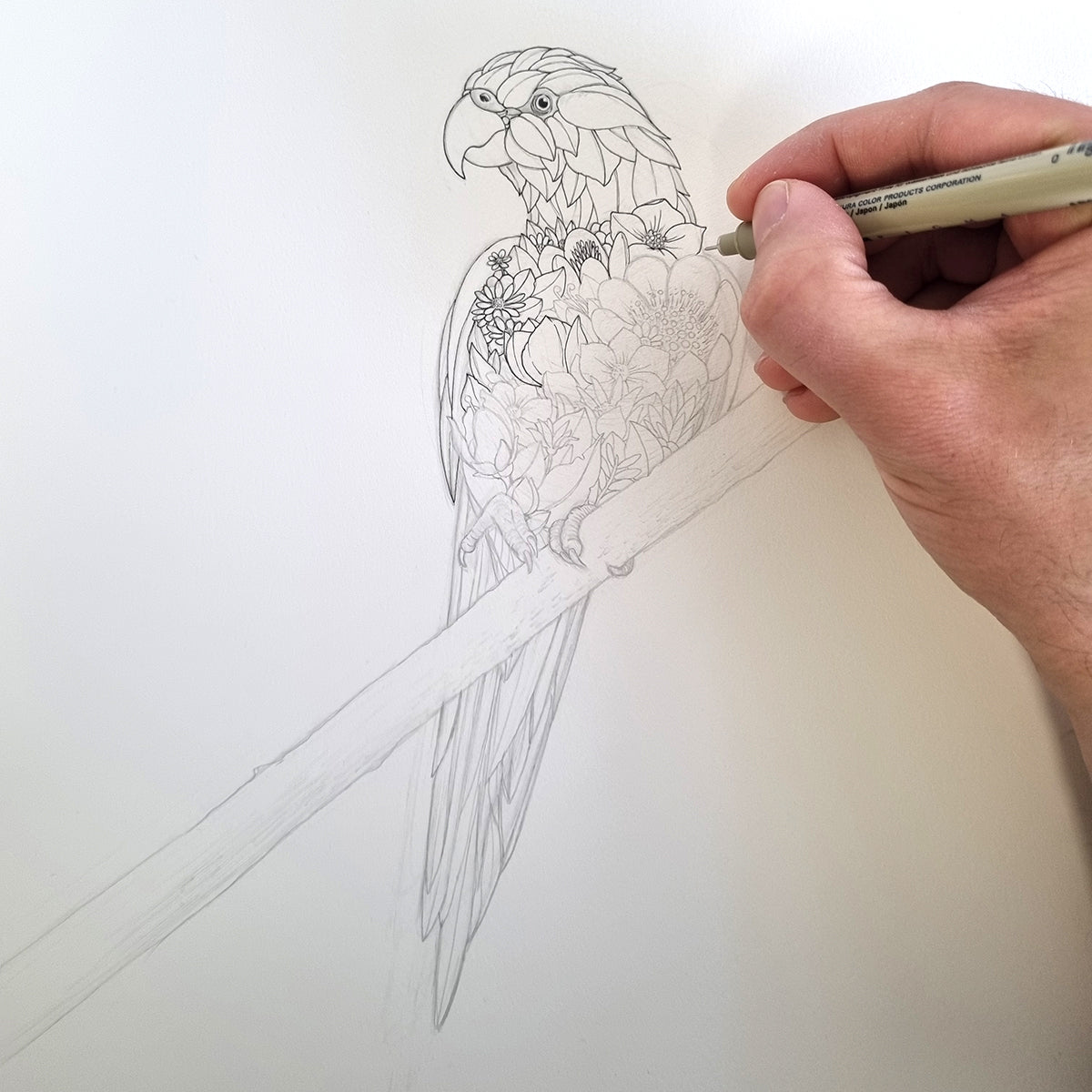 Rainbow Lorikeet - Giclée Print