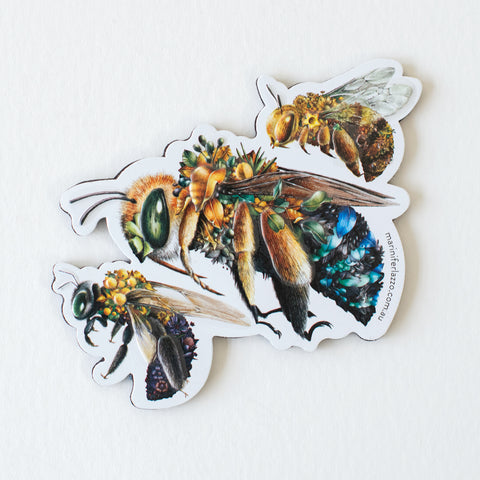 Magnet – Australian Bees