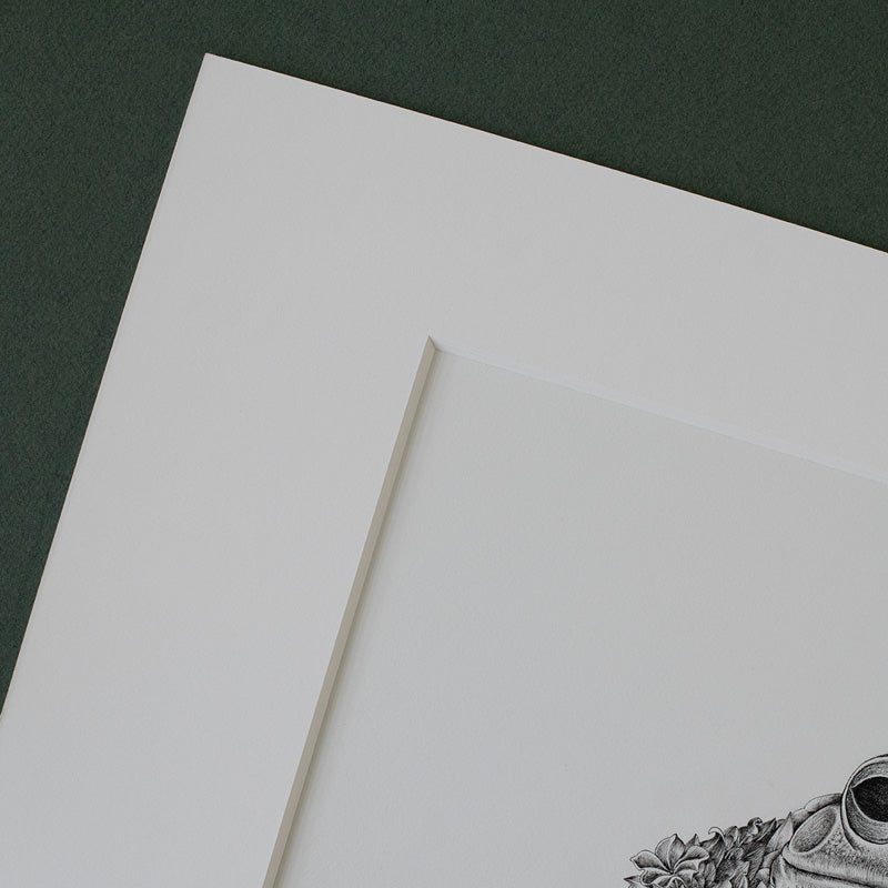 Green Tree Frog – ORIGINAL