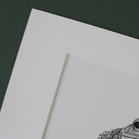 Green Tree Frog – ORIGINAL