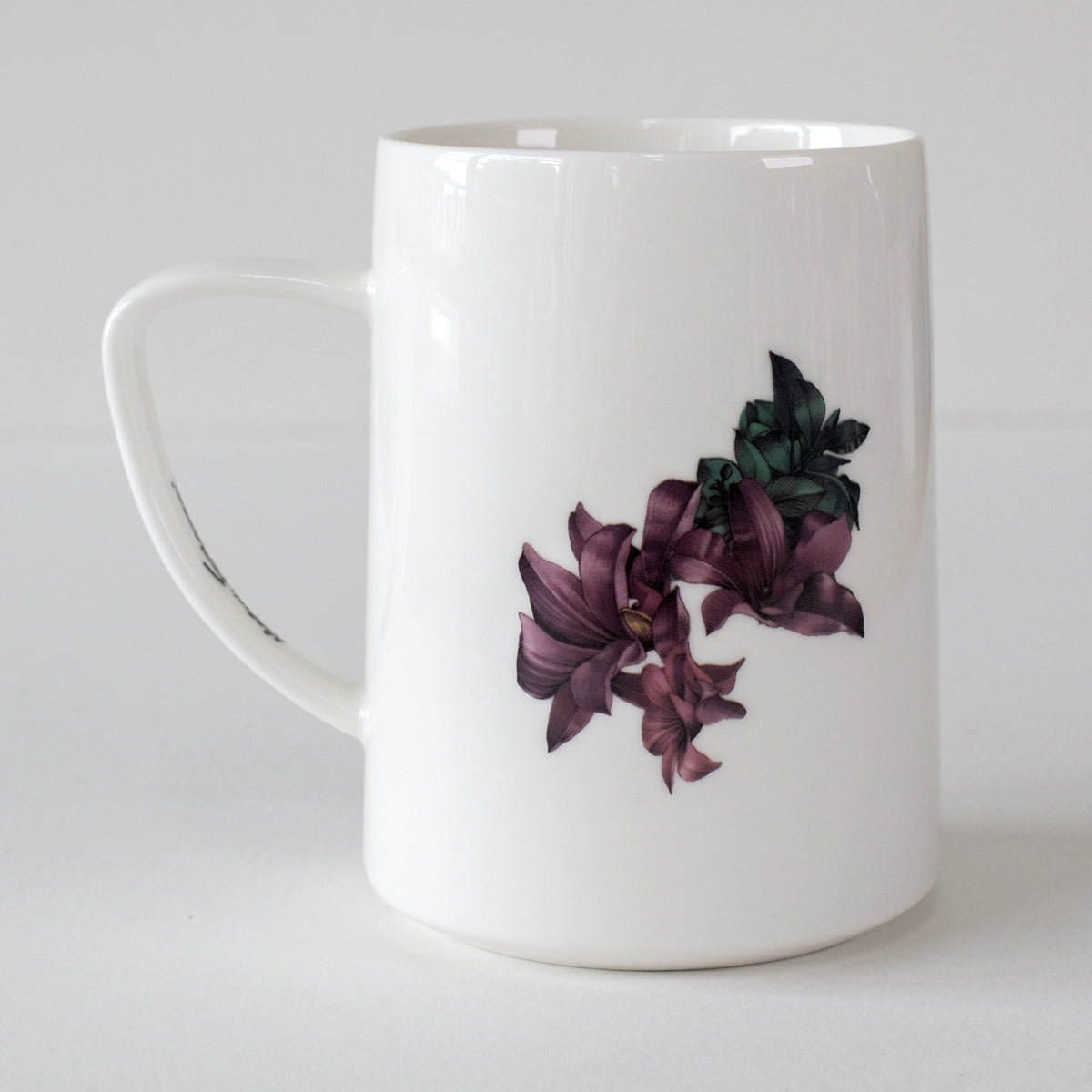 Tall Mug 450ml – Red-tailed Black Cockatoo