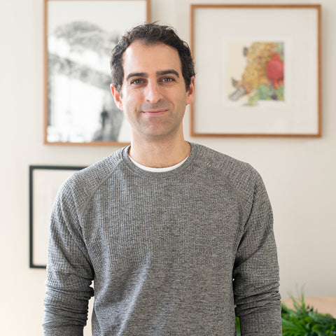 Plate 20cm – Variegated Fairy-wren