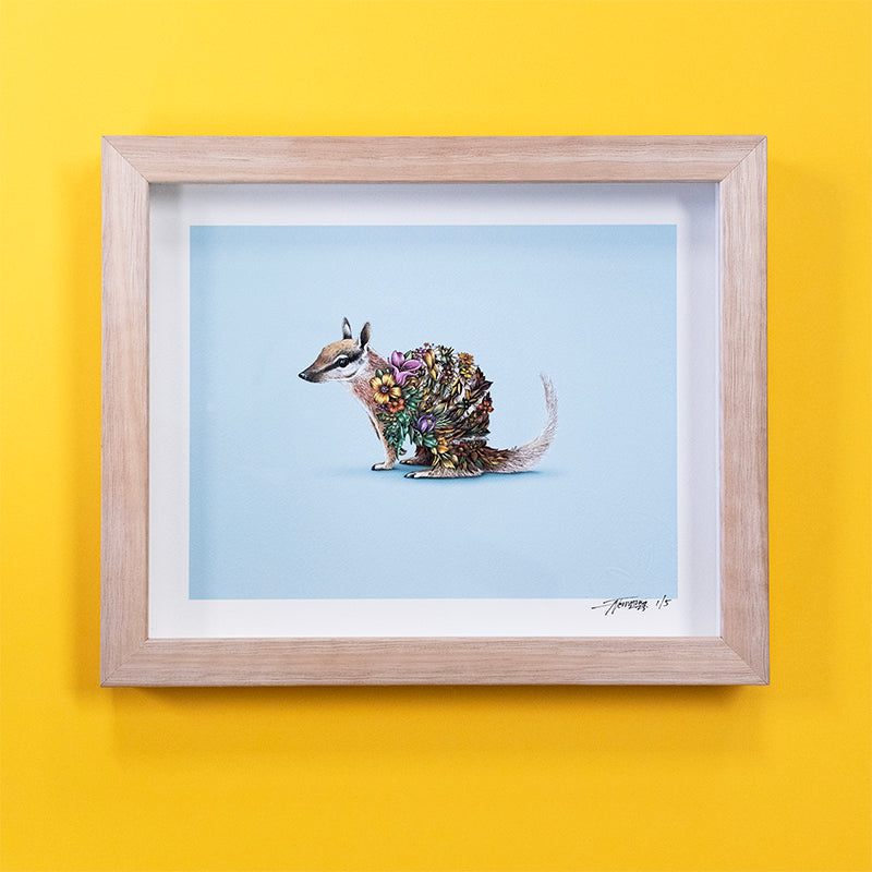 Numbat – Giclee Print