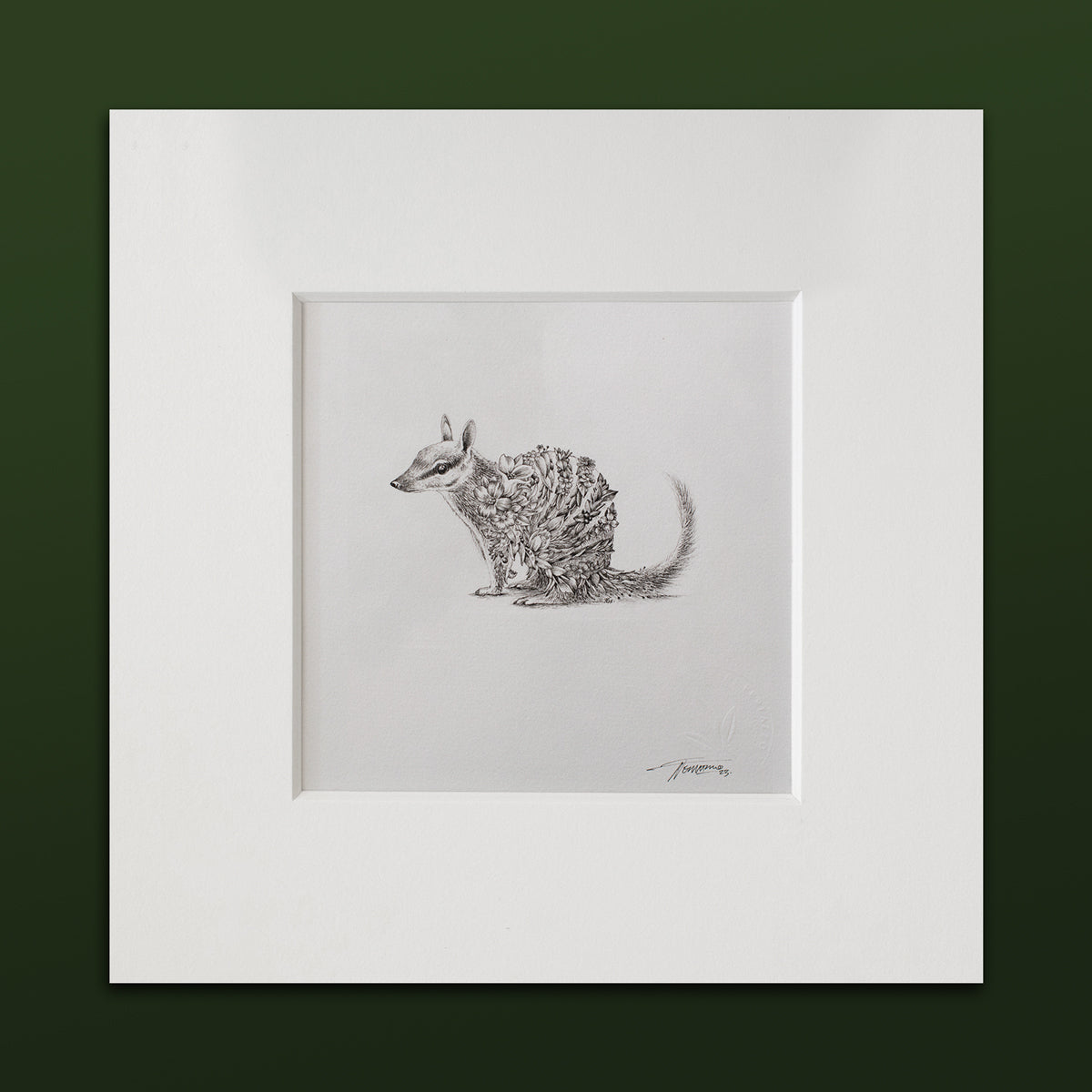 Numbat – ORIGINAL