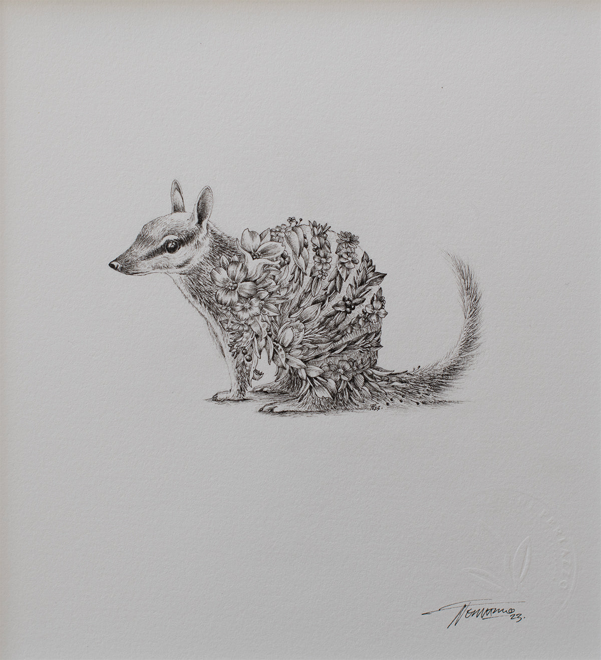 Numbat – ORIGINAL