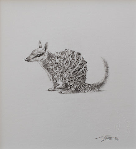 Numbat – ORIGINAL