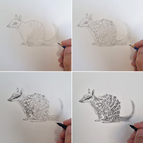 Numbat – ORIGINAL