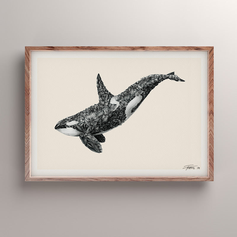 Orca – Limited Edition Print