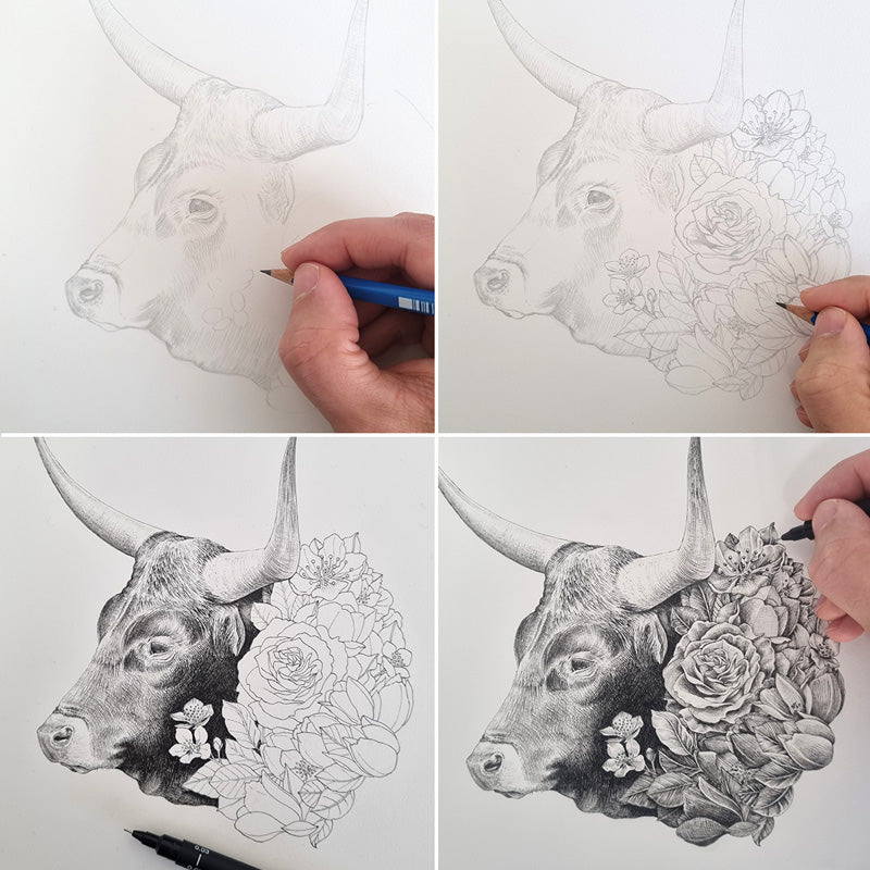 Ox Chinese Zodiac – Limited Edition Print