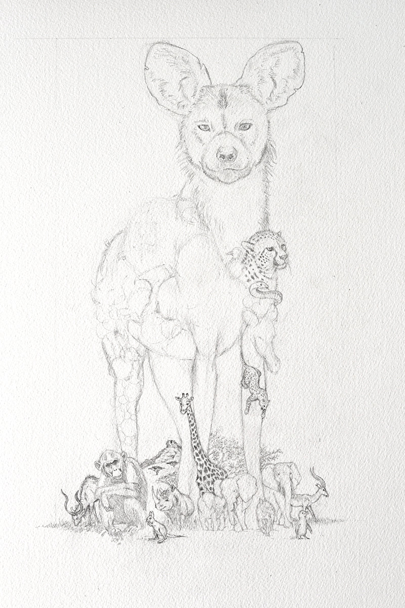 African Painted Dog - Giclée Print