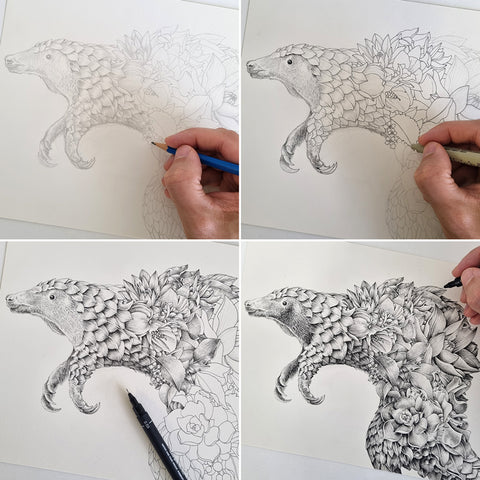 Indian Pangolin – Limited Edition Print