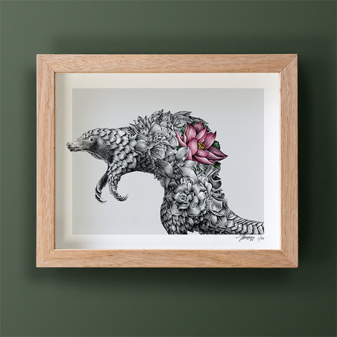 Indian Pangolin – Limited Edition Print