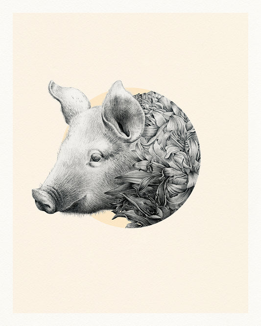 Pig Chinese Zodiac – Limited Edition Print