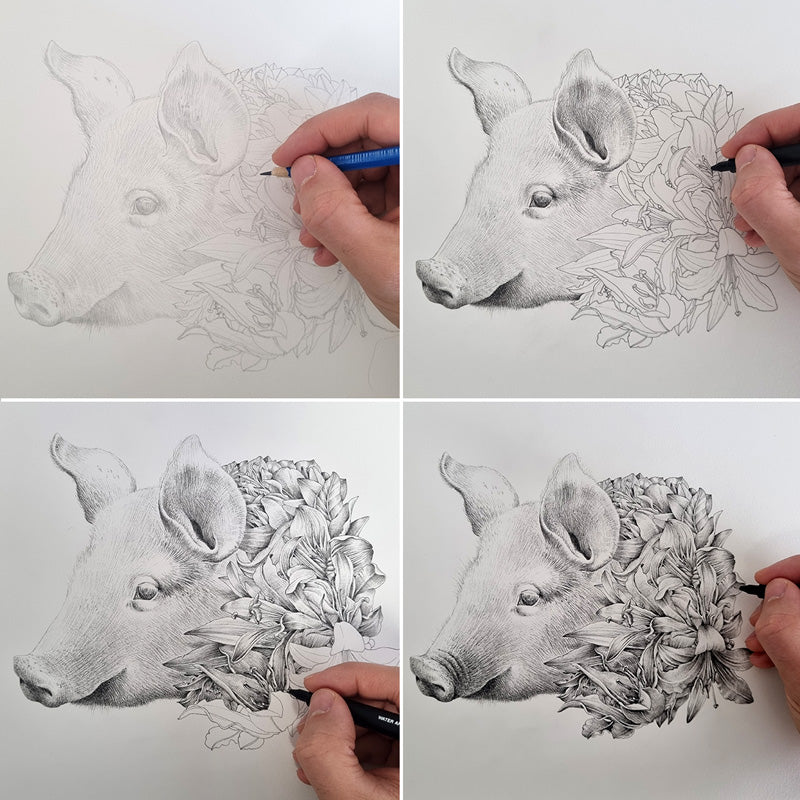 Pig Chinese Zodiac – Limited Edition Print