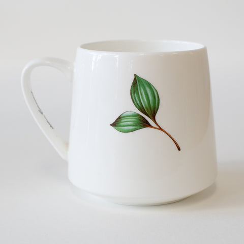 Mug 450ml – Platypus