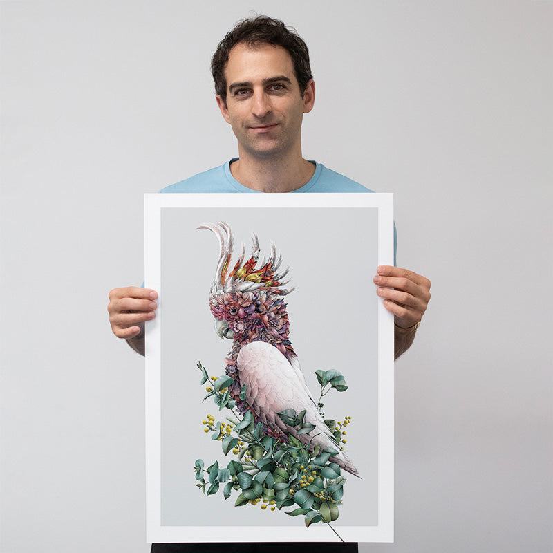 Pink Cockatoo – Limited Edition Print