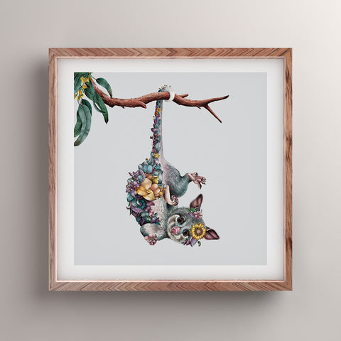 Ringtail Possum – Limited Edition Print