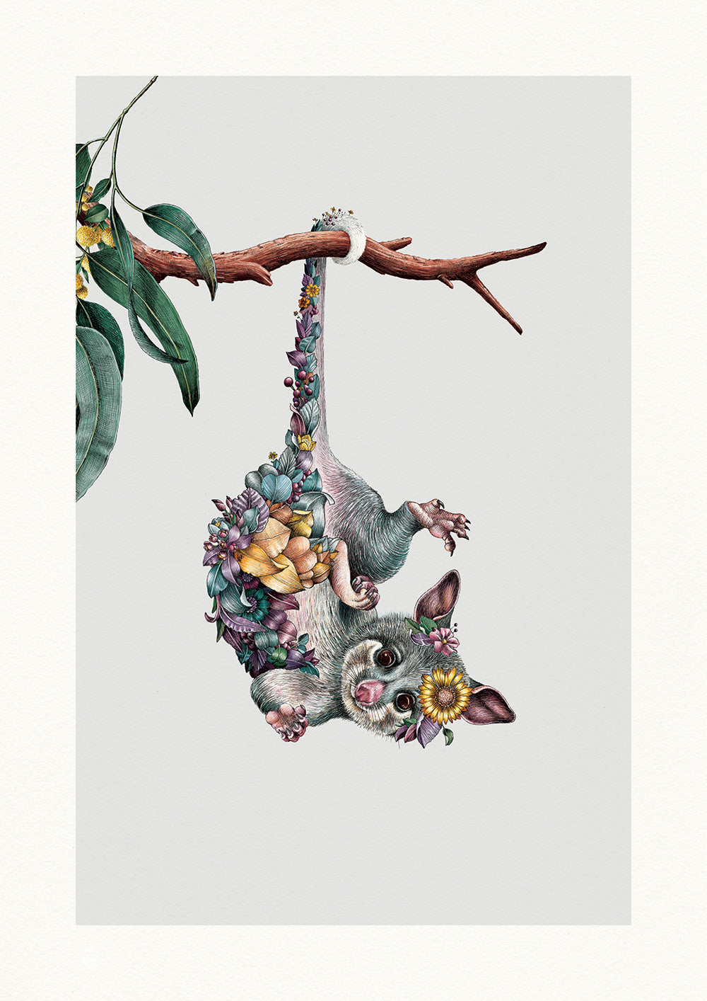 Ringtail Possum – Limited Edition Print