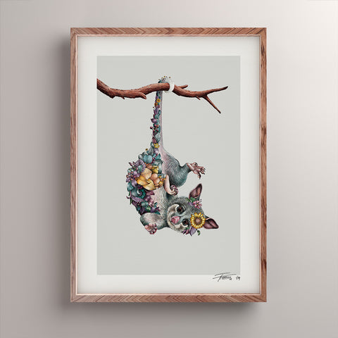 Ringtail Possum – Limited Edition Print