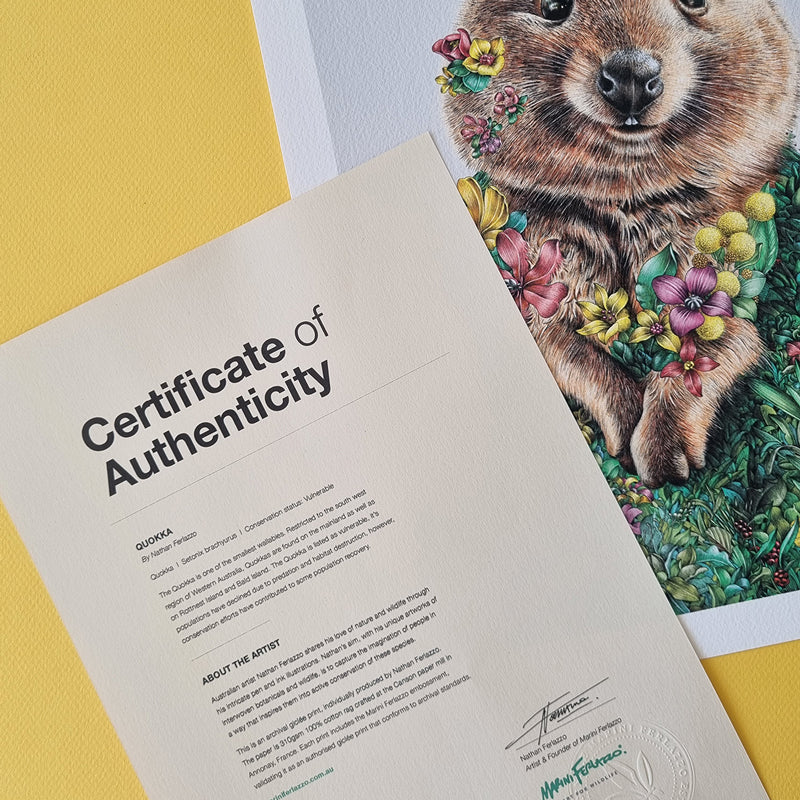 Quokka (2026) – Limited Edition Print