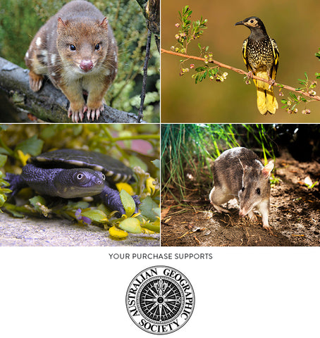 Greeting Cards – Australian Adventure (Set of 5)