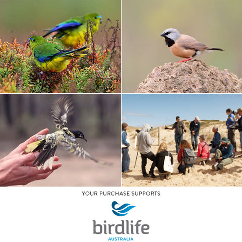 Greeting Cards – Bushwalk Birds (Set of 5)