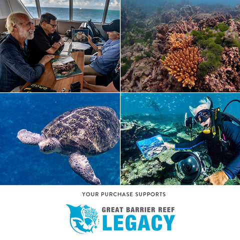 Greeting Cards – Reef Life (Set of 5)