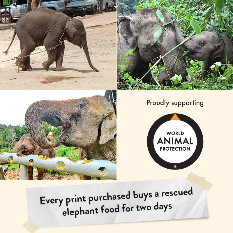 Asian Elephant Calf – Giclée Print