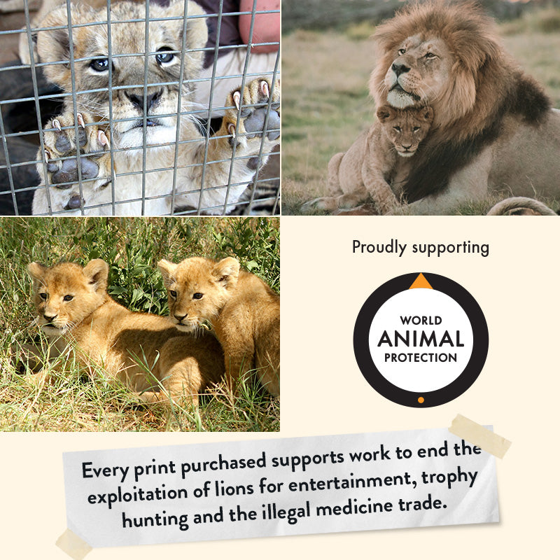 Lion Cub – Giclée Print